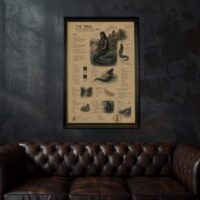 Naga main image
