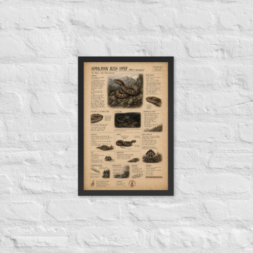 Enhanced matte paper framed poster in black 12x18 front 6a1bf8dbc4919.jpg