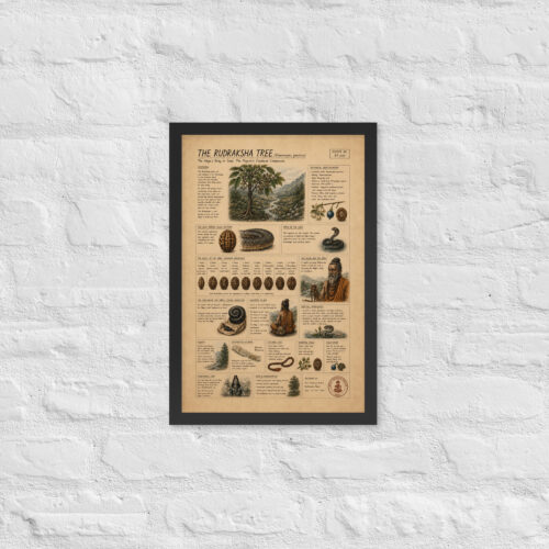 Enhanced matte paper framed poster in black 12x18 front 6a1bfa95a079a.jpg