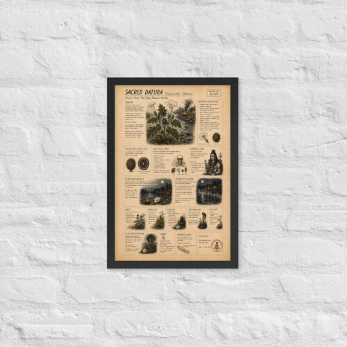 Enhanced matte paper framed poster in black 12x18 front 6a1bfb472d000.jpg