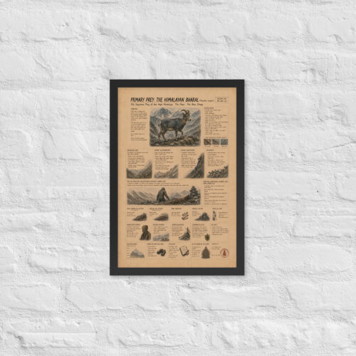 Enhanced matte paper framed poster in black 12x18 front 6a1c919fa1d62.jpg