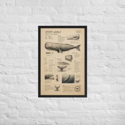 Enhanced matte paper framed poster in black 20x30 front 6a1bd9fae30b5.jpg
