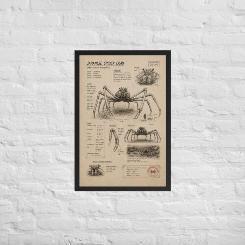 Enhanced matte paper framed poster in black 20x30 front 6a1bdc297bf56.jpg