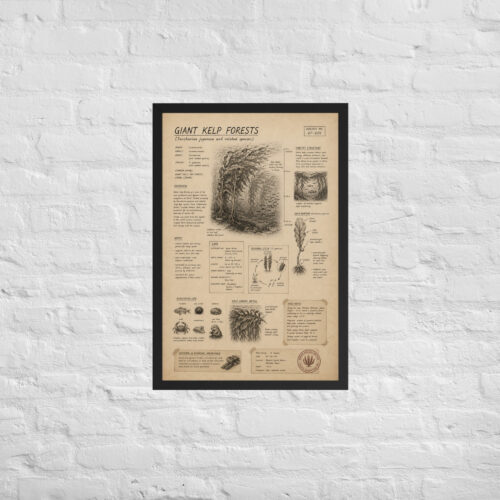 Enhanced matte paper framed poster in black 20x30 front 6a1be395d262f.jpg