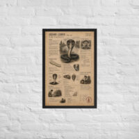 Enhanced matte paper framed poster in black 20x30 front 6a1bf628c0ec5.jpg