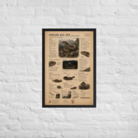 Enhanced matte paper framed poster in black 20x30 front 6a1bf8dbc4992.jpg
