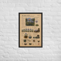 Enhanced matte paper framed poster in black 20x30 front 6a1bf9b1bd7c4.jpg
