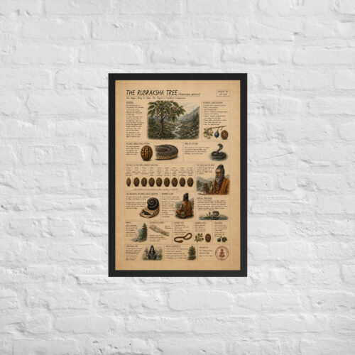 Enhanced matte paper framed poster in black 20x30 front 6a1bfa95a081f.jpg
