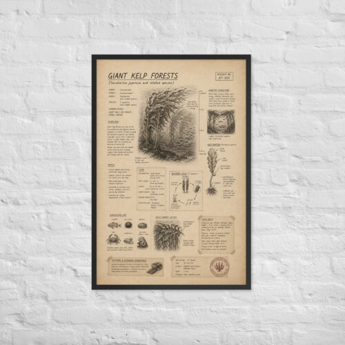 Enhanced matte paper framed poster in black 24x36 front 6a1be395d163f.jpg