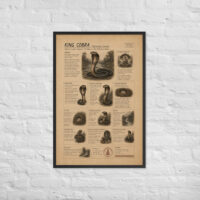 Enhanced matte paper framed poster in black 24x36 front 6a1bf6f2a36fa.jpg