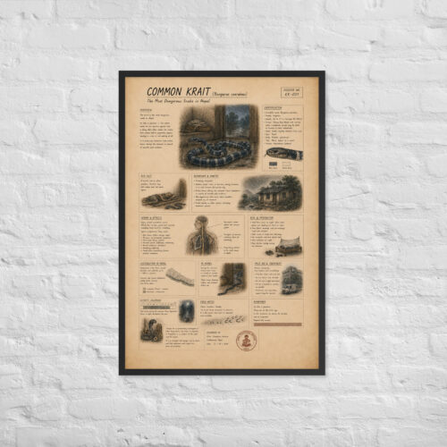 Enhanced matte paper framed poster in black 24x36 front 6a1bf7f674861.jpg