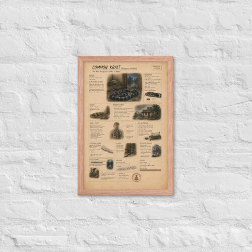 Enhanced matte paper framed poster in red oak 12x18 front 6a1bf7f675c4f.jpg