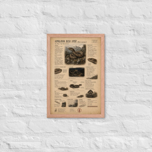 Enhanced matte paper framed poster in red oak 12x18 front 6a1bf8dbc4a5a.jpg