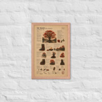 Enhanced matte paper framed poster in red oak 12x18 front 6a1c8d77739b6.jpg