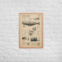Enhanced matte paper framed poster in red oak 20x30 front 6a1bd9fae32a7.jpg