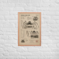 Enhanced matte paper framed poster in red oak 20x30 front 6a1bdc297c6ec.jpg