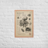 Enhanced matte paper framed poster in red oak 20x30 front 6a1bde059b1d9.jpg