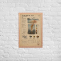 Enhanced matte paper framed poster in red oak 20x30 front 6a1be4b159e52.jpg