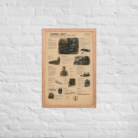 Enhanced matte paper framed poster in red oak 20x30 front 6a1bf7f675cf3.jpg