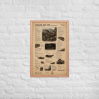 Enhanced matte paper framed poster in red oak 20x30 front 6a1bf8dbc4aad.jpg