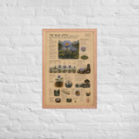 Enhanced matte paper framed poster in red oak 20x30 front 6a1bf9b1bd92d.jpg