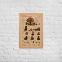 Enhanced matte paper framed poster in red oak 20x30 front 6a1c8d7773a41.jpg