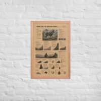 Enhanced matte paper framed poster in red oak 20x30 front 6a1c919fa1ef1.jpg