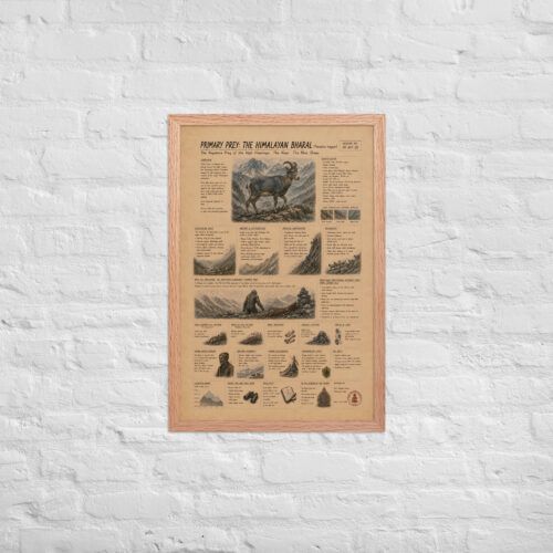 Enhanced matte paper framed poster in red oak 20x30 front 6a1c919fa1ef1.jpg