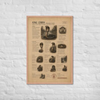 Enhanced matte paper framed poster in red oak 24x36 front 6a1bf6f2a4a27.jpg
