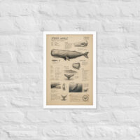 Enhanced matte paper framed poster in white 12x18 front 6a1bd9fae3457.jpg