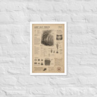 Enhanced matte paper framed poster in white 12x18 front 6a1be395d2865.jpg