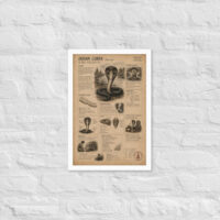 Enhanced matte paper framed poster in white 12x18 front 6a1bf628c10d2.jpg