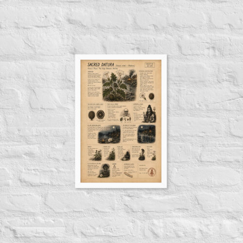 Enhanced matte paper framed poster in white 12x18 front 6a1bfb472d47e.jpg