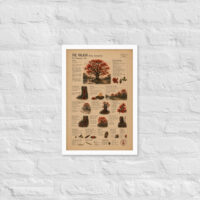 Enhanced matte paper framed poster in white 12x18 front 6a1c8d7773c09.jpg