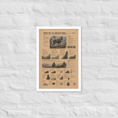 Enhanced matte paper framed poster in white 12x18 front 6a1c919fa1fe0.jpg