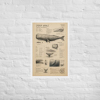 Enhanced matte paper framed poster in white 20x30 front 6a1bd9fae34e9.jpg