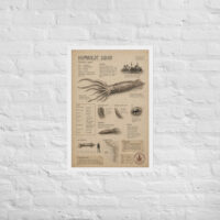 Enhanced matte paper framed poster in white 20x30 front 6a1bdb57ad279.jpg