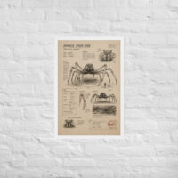 Enhanced matte paper framed poster in white 20x30 front 6a1bdc297c91f.jpg