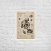 Enhanced matte paper framed poster in white 20x30 front 6a1bde059b337.jpg