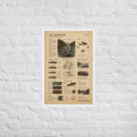 Enhanced matte paper framed poster in white 20x30 front 6a1bf3fa4ae84.jpg
