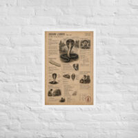 Enhanced matte paper framed poster in white 20x30 front 6a1bf628c111f.jpg