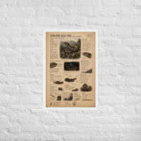 Enhanced matte paper framed poster in white 20x30 front 6a1bf8dbc4c13.jpg