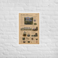 Enhanced matte paper framed poster in white 20x30 front 6a1bf9b1bda8a.jpg