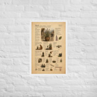 Enhanced matte paper framed poster in white 20x30 front 6a1bfc12431a5.jpg
