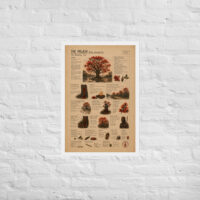 Enhanced matte paper framed poster in white 20x30 front 6a1c8d7773c90.jpg