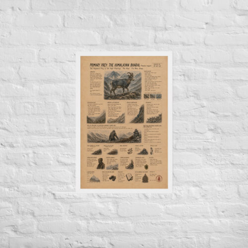 Enhanced matte paper framed poster in white 20x30 front 6a1c919fa2052.jpg