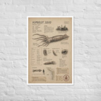 Enhanced matte paper framed poster in white 24x36 front 6a1bdb57ad2e5.jpg