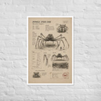 Enhanced matte paper framed poster in white 24x36 front 6a1bdc297c99b.jpg