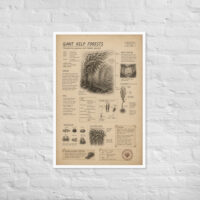 Enhanced matte paper framed poster in white 24x36 front 6a1be395d292a.jpg
