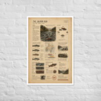 Enhanced matte paper framed poster in white 24x36 front 6a1bf3fa4af4c.jpg